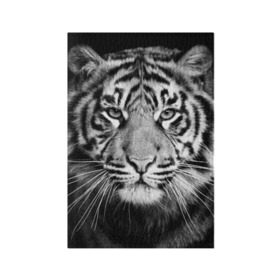 Обложка для паспорта матовая кожа с принтом Красавец тигр в Петрозаводске, натуральная матовая кожа | размер 19,3 х 13,7 см; прозрачные пластиковые крепления | джунгли | дикая кошка | животные | зверь | король | кровь | мясо | опасность | охотник | тигр | хищник | царь | цирк