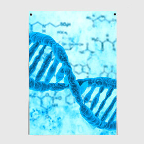 Постер с принтом ДНК в Петрозаводске, 100% бумага
 | бумага, плотность 150 мг. Матовая, но за счет высокого коэффициента гладкости имеет небольшой блеск и дает на свету блики, но в отличии от глянцевой бумаги не покрыта лаком | Тематика изображения на принте: абстракция | биология | днк | молекула | синяя.цепочка | формула