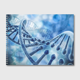 Альбом для рисования с принтом Молекула ДНК в Петрозаводске, 100% бумага
 | матовая бумага, плотность 200 мг. | dna | биохимия | внешность | ген | генетика | днк | молекула | наследственность | спираль | способности | структура | характер | черты