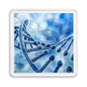 Магнит 55*55 с принтом Молекула ДНК в Петрозаводске, Пластик | Размер: 65*65 мм; Размер печати: 55*55 мм | dna | биохимия | внешность | ген | генетика | днк | молекула | наследственность | спираль | способности | структура | характер | черты