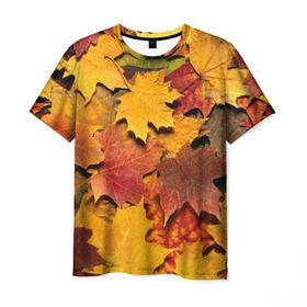 Мужская футболка 3D с принтом Осень на дворе в Петрозаводске, 100% полиэфир | прямой крой, круглый вырез горловины, длина до линии бедер | бордовый | жёлтый | красный | листва | листья