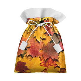Подарочный 3D мешок с принтом Осень на дворе в Петрозаводске, 100% полиэстер | Размер: 29*39 см | Тематика изображения на принте: бордовый | жёлтый | красный | листва | листья