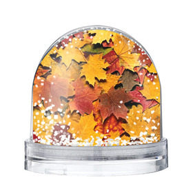Снежный шар с принтом Осень на дворе в Петрозаводске, Пластик | Изображение внутри шара печатается на глянцевой фотобумаге с двух сторон | бордовый | жёлтый | красный | листва | листья