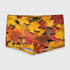 Мужские купальные плавки 3D с принтом Осень на дворе в Петрозаводске, Полиэстер 85%, Спандекс 15% |  | бордовый | жёлтый | красный | листва | листья