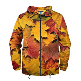 Мужская ветровка 3D с принтом Осень на дворе в Петрозаводске, 100% полиэстер | подол и капюшон оформлены резинкой с фиксаторами, два кармана без застежек по бокам, один потайной карман на груди | бордовый | жёлтый | красный | листва | листья