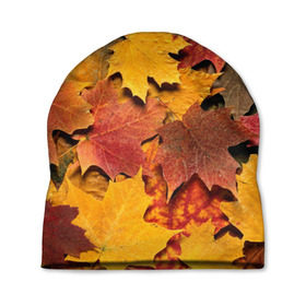 Шапка 3D с принтом Осень на дворе в Петрозаводске, 100% полиэстер | универсальный размер, печать по всей поверхности изделия | бордовый | жёлтый | красный | листва | листья