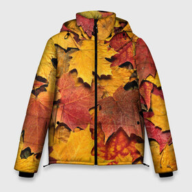 Мужская зимняя куртка 3D с принтом Осень на дворе в Петрозаводске, верх — 100% полиэстер; подкладка — 100% полиэстер; утеплитель — 100% полиэстер | длина ниже бедра, свободный силуэт Оверсайз. Есть воротник-стойка, отстегивающийся капюшон и ветрозащитная планка. 

Боковые карманы с листочкой на кнопках и внутренний карман на молнии. | бордовый | жёлтый | красный | листва | листья