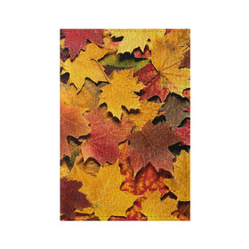 Обложка для паспорта матовая кожа с принтом Осень на дворе в Петрозаводске, натуральная матовая кожа | размер 19,3 х 13,7 см; прозрачные пластиковые крепления | бордовый | жёлтый | красный | листва | листья