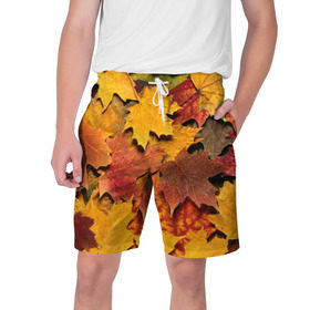 Мужские шорты 3D с принтом Осень на дворе в Петрозаводске,  полиэстер 100% | прямой крой, два кармана без застежек по бокам. Мягкая трикотажная резинка на поясе, внутри которой широкие завязки. Длина чуть выше колен | бордовый | жёлтый | красный | листва | листья