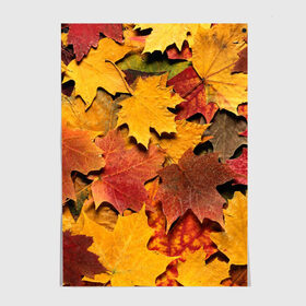 Постер с принтом Осень на дворе в Петрозаводске, 100% бумага
 | бумага, плотность 150 мг. Матовая, но за счет высокого коэффициента гладкости имеет небольшой блеск и дает на свету блики, но в отличии от глянцевой бумаги не покрыта лаком | бордовый | жёлтый | красный | листва | листья