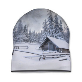 Шапка 3D с принтом Зима в Петрозаводске, 100% полиэстер | универсальный размер, печать по всей поверхности изделия | вьюга | горы | зима | лес | метель | мороз | пейзаж | природа | пурга | снег | снегопад | сосулька | стужа | сугроб | холод