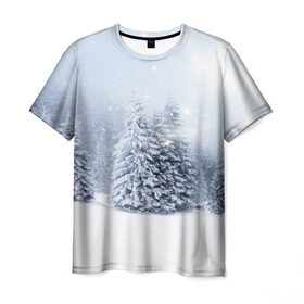 Мужская футболка 3D с принтом Зимняя пора в Петрозаводске, 100% полиэфир | прямой крой, круглый вырез горловины, длина до линии бедер | вьюга | горы | зима | лес | метель | мороз | пейзаж | пурга | снег | снегопад | сосулька | стужа | сугроб | холод