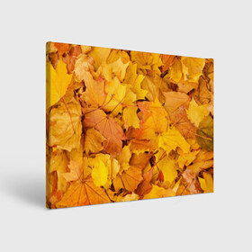 Холст прямоугольный с принтом Золотая листва в Петрозаводске, 100% ПВХ |  | жёлтый осень | золото | листья