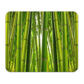Коврик прямоугольный с принтом Бамбук в Петрозаводске, натуральный каучук | размер 230 х 185 мм; запечатка лицевой стороны | бамбук | зеленая | растения
