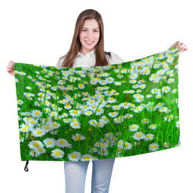 Флаг 3D с принтом Ромашки в Петрозаводске, 100% полиэстер | плотность ткани — 95 г/м2, размер — 67 х 109 см. Принт наносится с одной стороны | поле | природа | ромашка | цветы