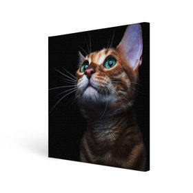 Холст квадратный с принтом Милый котик в Петрозаводске, 100% ПВХ |  | кошка | темный | фото