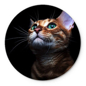 Коврик круглый с принтом Милый котик в Петрозаводске, резина и полиэстер | круглая форма, изображение наносится на всю лицевую часть | Тематика изображения на принте: кошка | темный | фото