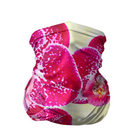 Бандана-труба 3D с принтом Красивые цветы в Петрозаводске, 100% полиэстер, ткань с особыми свойствами — Activecool | плотность 150‒180 г/м2; хорошо тянется, но сохраняет форму | Тематика изображения на принте: божественный | букет | великолепный | восхитительный | душистый аромат | красивый | красота | невероятный | неописуемый | приятный запах | растение | фауна | цветок | цветы | шикарный