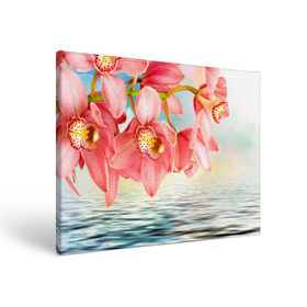 Холст прямоугольный с принтом Цветы над водой в Петрозаводске, 100% ПВХ |  | Тематика изображения на принте: букет | вода | душистый аромат | озеро | приятный запах | пруд | растение | цветок | цветы