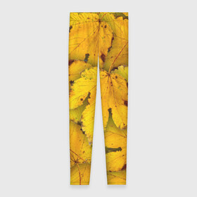 Леггинсы 3D с принтом Жёлтые листья в Петрозаводске, 80% полиэстер, 20% эластан | Эластичный пояс, зауженные к низу, низкая посадка | жёлтый | золотой | клён | красота | листва | листья | наряд | осень | осина | покров | природа