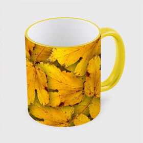 Кружка 3D с принтом Жёлтые листья в Петрозаводске, керамика | ёмкость 330 мл | жёлтый | золотой | клён | красота | листва | листья | наряд | осень | осина | покров | природа