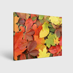Холст прямоугольный с принтом Осенние листья в Петрозаводске, 100% ПВХ |  | жёлтый | красный | листва | оранжевый | осень