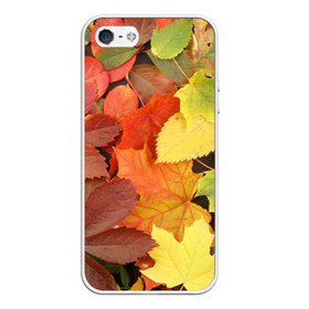 Чехол силиконовый для Телефон Apple iPhone 5/5S с принтом Осенние листья в Петрозаводске, Силикон | Область печати: задняя сторона чехла, без боковых панелей | Тематика изображения на принте: жёлтый | красный | листва | оранжевый | осень