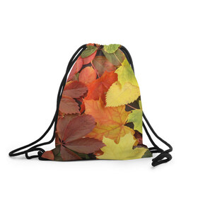 Рюкзак-мешок 3D с принтом Осенние листья в Петрозаводске, 100% полиэстер | плотность ткани — 200 г/м2, размер — 35 х 45 см; лямки — толстые шнурки, застежка на шнуровке, без карманов и подкладки | жёлтый | красный | листва | оранжевый | осень