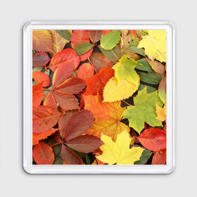 Магнит 55*55 с принтом Осенние листья в Петрозаводске, Пластик | Размер: 65*65 мм; Размер печати: 55*55 мм | Тематика изображения на принте: жёлтый | красный | листва | оранжевый | осень