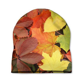 Шапка 3D с принтом Осенние листья в Петрозаводске, 100% полиэстер | универсальный размер, печать по всей поверхности изделия | жёлтый | красный | листва | оранжевый | осень