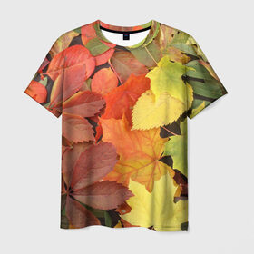 Мужская футболка 3D с принтом Осенние листья в Петрозаводске, 100% полиэфир | прямой крой, круглый вырез горловины, длина до линии бедер | жёлтый | красный | листва | оранжевый | осень