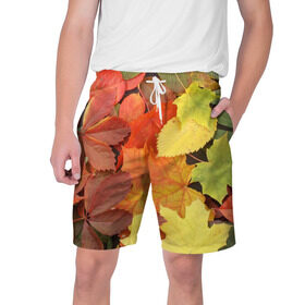 Мужские шорты 3D с принтом Осенние листья в Петрозаводске,  полиэстер 100% | прямой крой, два кармана без застежек по бокам. Мягкая трикотажная резинка на поясе, внутри которой широкие завязки. Длина чуть выше колен | жёлтый | красный | листва | оранжевый | осень