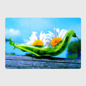Магнитный плакат 3Х2 с принтом Ромашки в Петрозаводске, Полимерный материал с магнитным слоем | 6 деталей размером 9*9 см | красота | поле | природа | ромашка | цветы