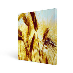 Холст квадратный с принтом Колос в Петрозаводске, 100% ПВХ |  | Тематика изображения на принте: желтый | злаки | поле | пшеница