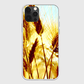 Чехол для iPhone 12 Pro Max с принтом Колос в Петрозаводске, Силикон |  | желтый | злаки | поле | пшеница