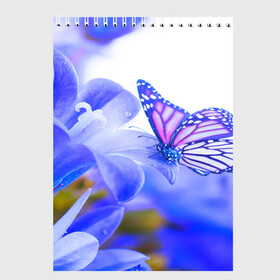 Скетчбук с принтом Бабочки в Петрозаводске, 100% бумага
 | 48 листов, плотность листов — 100 г/м2, плотность картонной обложки — 250 г/м2. Листы скреплены сверху удобной пружинной спиралью | бабочки | красота | природа | синяя | цветы