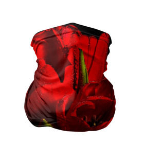 Бандана-труба 3D с принтом Тюльпаны в Петрозаводске, 100% полиэстер, ткань с особыми свойствами — Activecool | плотность 150‒180 г/м2; хорошо тянется, но сохраняет форму | Тематика изображения на принте: букет | красота | поле | природа | тюльпаны | цветы