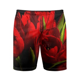 Мужские шорты 3D спортивные с принтом Тюльпаны в Петрозаводске,  |  | Тематика изображения на принте: букет | красота | поле | природа | тюльпаны | цветы