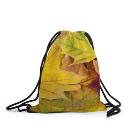 Рюкзак-мешок 3D с принтом Осенние листья в Петрозаводске, 100% полиэстер | плотность ткани — 200 г/м2, размер — 35 х 45 см; лямки — толстые шнурки, застежка на шнуровке, без карманов и подкладки | жёлтый | зелёный | клён | листва