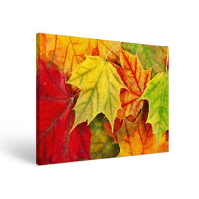 Холст прямоугольный с принтом Кленовые листья в Петрозаводске, 100% ПВХ |  | жёлтый | зелёный | красный | листва | оранжевый | осень