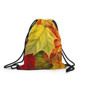 Рюкзак-мешок 3D с принтом Кленовые листья в Петрозаводске, 100% полиэстер | плотность ткани — 200 г/м2, размер — 35 х 45 см; лямки — толстые шнурки, застежка на шнуровке, без карманов и подкладки | жёлтый | зелёный | красный | листва | оранжевый | осень