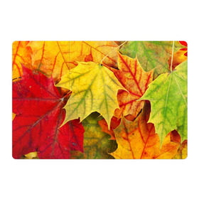 Магнитный плакат 3Х2 с принтом Кленовые листья в Петрозаводске, Полимерный материал с магнитным слоем | 6 деталей размером 9*9 см | жёлтый | зелёный | красный | листва | оранжевый | осень