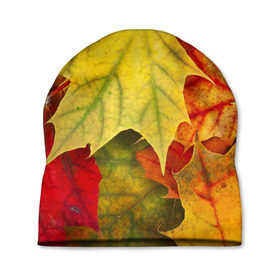 Шапка 3D с принтом Кленовые листья в Петрозаводске, 100% полиэстер | универсальный размер, печать по всей поверхности изделия | жёлтый | зелёный | красный | листва | оранжевый | осень