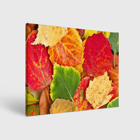 Холст прямоугольный с принтом Осень в Петрозаводске, 100% ПВХ |  | берёза | дары осени | жёлтый | зелёный | золотой | краски | красный | красота | листва | листья | наряд | оранжевый | осень | осина | покров | природа