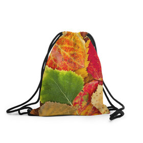 Рюкзак-мешок 3D с принтом Осень в Петрозаводске, 100% полиэстер | плотность ткани — 200 г/м2, размер — 35 х 45 см; лямки — толстые шнурки, застежка на шнуровке, без карманов и подкладки | берёза | дары осени | жёлтый | зелёный | золотой | краски | красный | красота | листва | листья | наряд | оранжевый | осень | осина | покров | природа