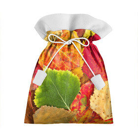 Подарочный 3D мешок с принтом Осень в Петрозаводске, 100% полиэстер | Размер: 29*39 см | берёза | дары осени | жёлтый | зелёный | золотой | краски | красный | красота | листва | листья | наряд | оранжевый | осень | осина | покров | природа