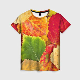 Женская футболка 3D с принтом Осень в Петрозаводске, 100% полиэфир ( синтетическое хлопкоподобное полотно) | прямой крой, круглый вырез горловины, длина до линии бедер | берёза | дары осени | жёлтый | зелёный | золотой | краски | красный | красота | листва | листья | наряд | оранжевый | осень | осина | покров | природа