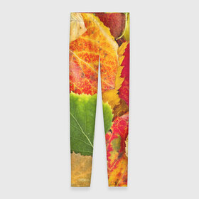Леггинсы 3D с принтом Осень в Петрозаводске, 80% полиэстер, 20% эластан | Эластичный пояс, зауженные к низу, низкая посадка | берёза | дары осени | жёлтый | зелёный | золотой | краски | красный | красота | листва | листья | наряд | оранжевый | осень | осина | покров | природа