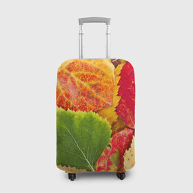 Чехол для чемодана 3D с принтом Осень в Петрозаводске, 86% полиэфир, 14% спандекс | двустороннее нанесение принта, прорези для ручек и колес | берёза | дары осени | жёлтый | зелёный | золотой | краски | красный | красота | листва | листья | наряд | оранжевый | осень | осина | покров | природа
