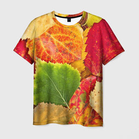 Мужская футболка 3D с принтом Осень в Петрозаводске, 100% полиэфир | прямой крой, круглый вырез горловины, длина до линии бедер | Тематика изображения на принте: берёза | дары осени | жёлтый | зелёный | золотой | краски | красный | красота | листва | листья | наряд | оранжевый | осень | осина | покров | природа